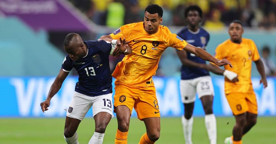 الاكوادور تفرض التعادل على هولندا وقطر تودع المونديال رسميا