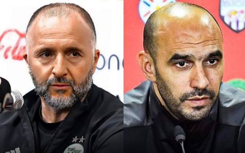 جمال بلماضي وليد الركراكي