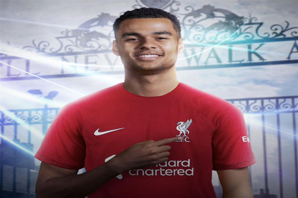 ليفربول يحسم صفقة نجم مونديال قطر قبل انطلاق الميركاتو الشتوي 1 ليفربول يحسم صفقة نجم مونديال قطر قبل انطلاق الميركاتو الشتوي